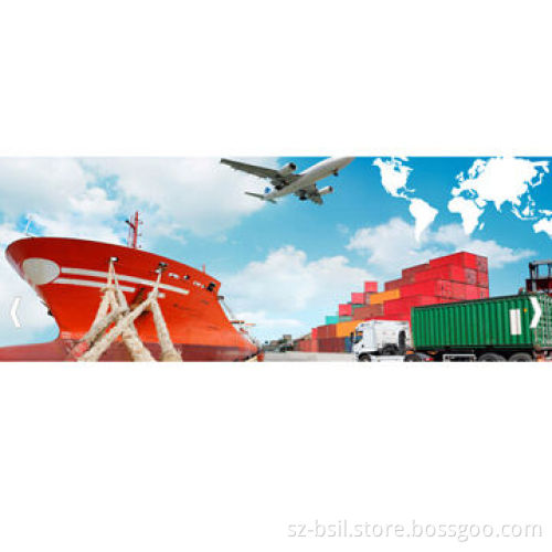 Full Container, Load from China to Europe ServiceNew